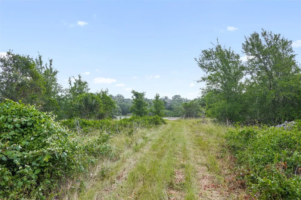 Schuster Road Round Top, TX 78954
