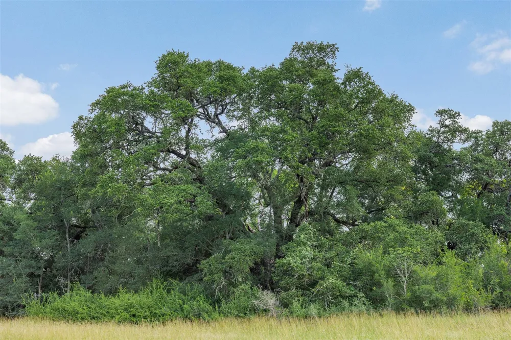 Schuster Road Round Top, TX 78954