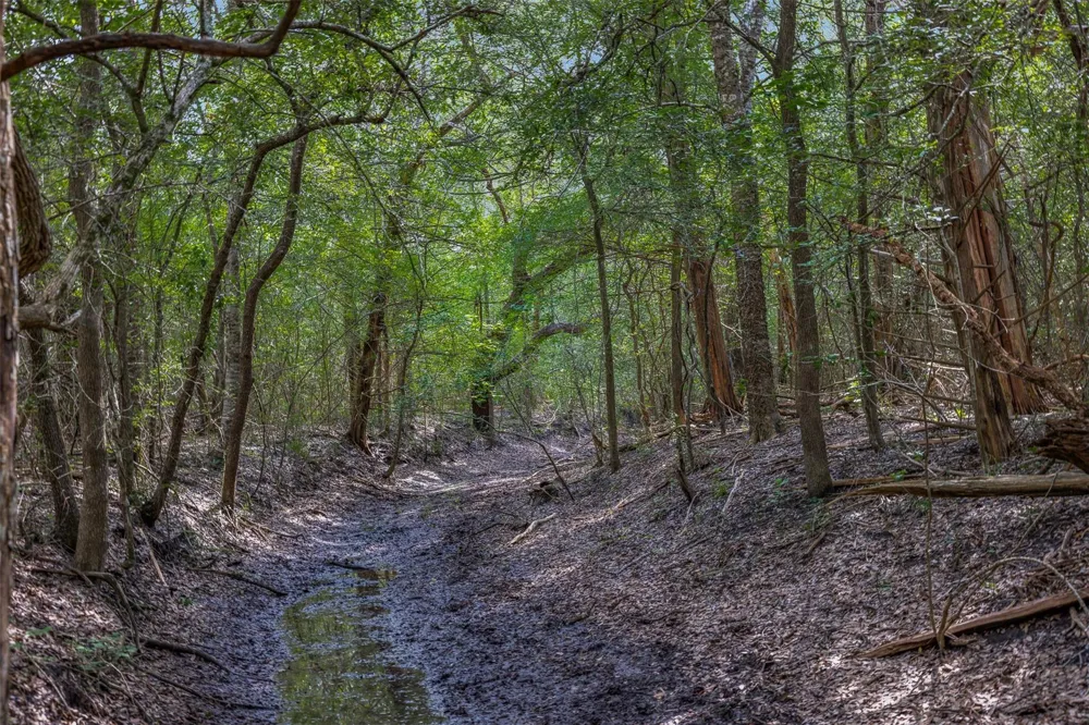 Schuster Road Round Top, TX 78954