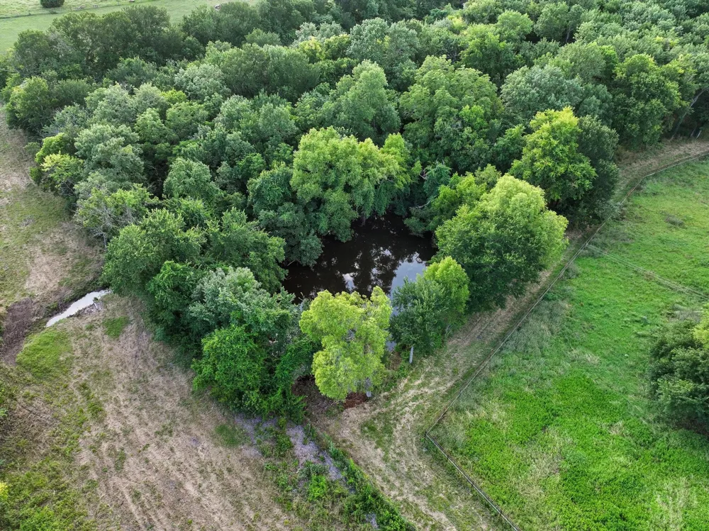 16900 County Road 706 Leonard, TX 75452