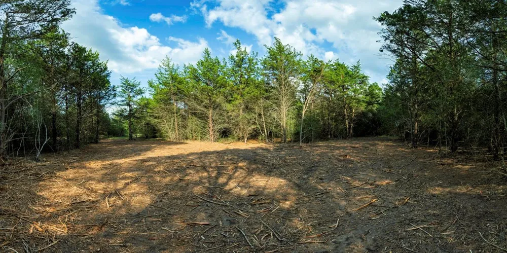 405 Vineyard View Trail - Lot 5 Carmine, TX 78932
