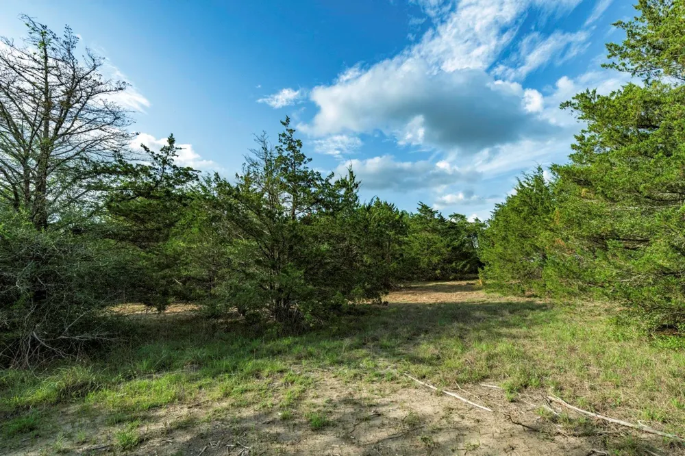 405 Vineyard View Trail - Lot 5 Carmine, TX 78932