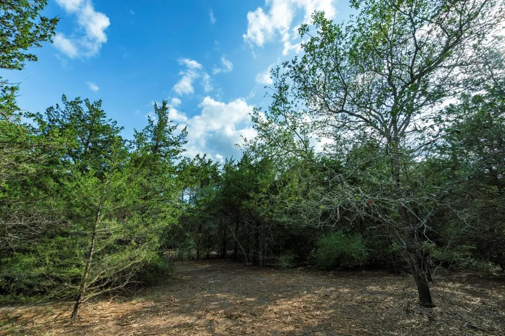 405 Vineyard View Trail - Lot 5 Carmine, TX 78932