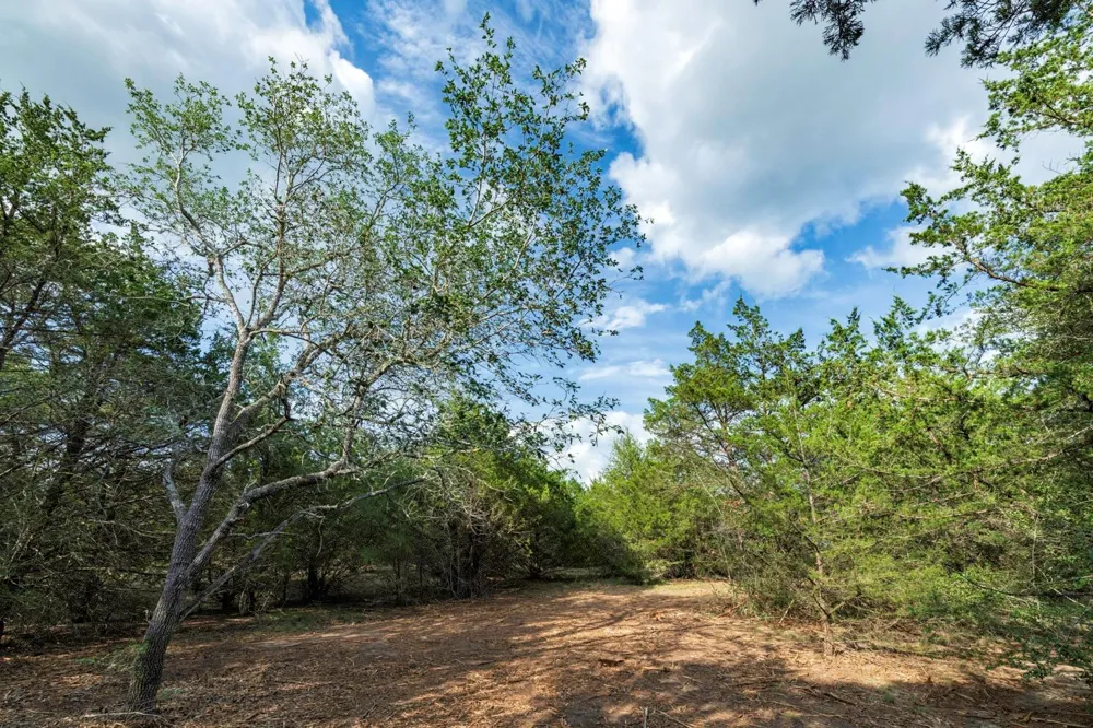 405 Vineyard View Trail - Lot 5 Carmine, TX 78932