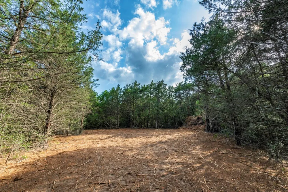 405 Vineyard View Trail - Lot 5 Carmine, TX 78932