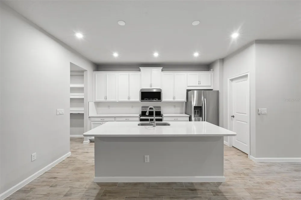 4366 CLOUD HOPPER WAY Lutz, FL 33559
