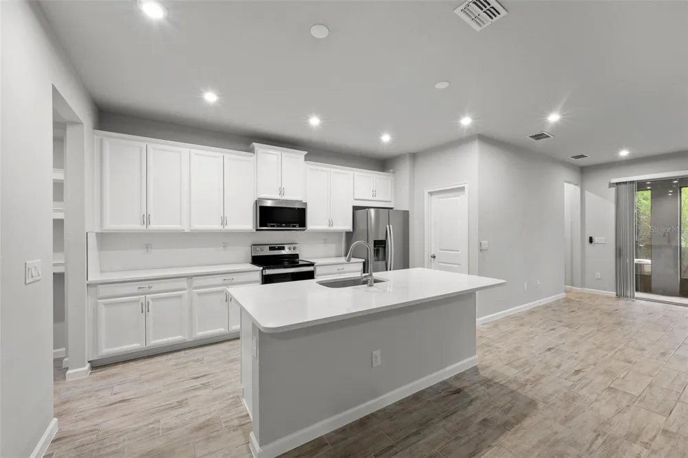 4366 CLOUD HOPPER WAY Lutz, FL 33559