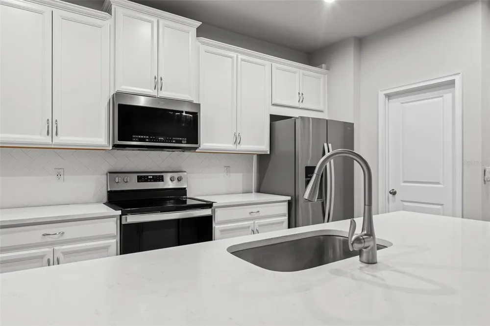 4366 CLOUD HOPPER WAY Lutz, FL 33559