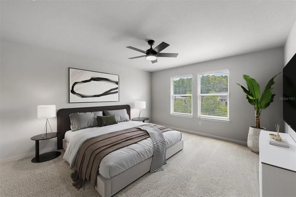 4366 CLOUD HOPPER WAY Lutz, FL 33559