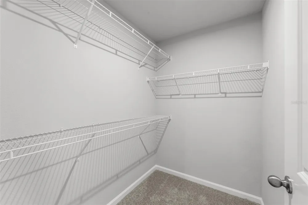 4366 CLOUD HOPPER WAY Lutz, FL 33559