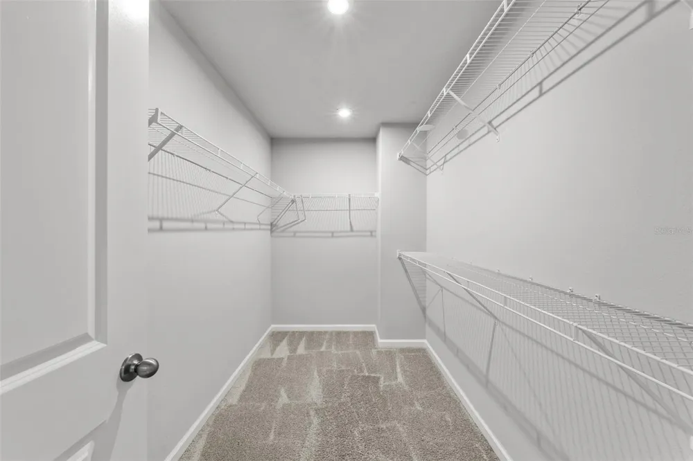 4366 CLOUD HOPPER WAY Lutz, FL 33559