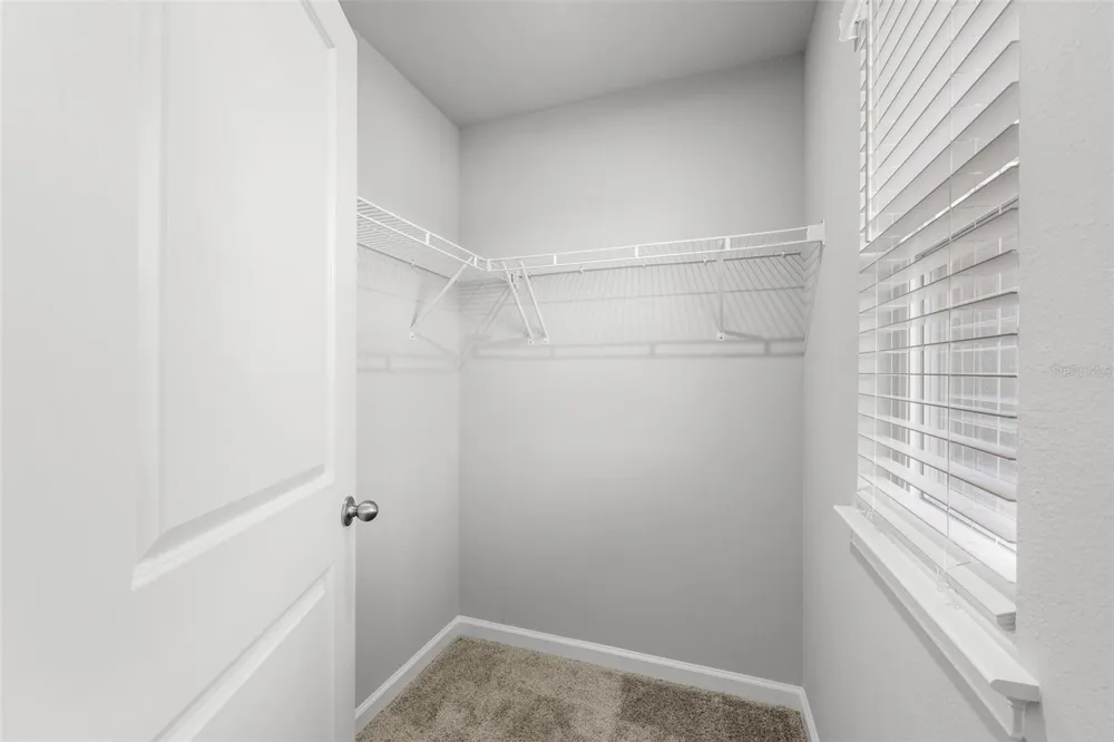4366 CLOUD HOPPER WAY Lutz, FL 33559