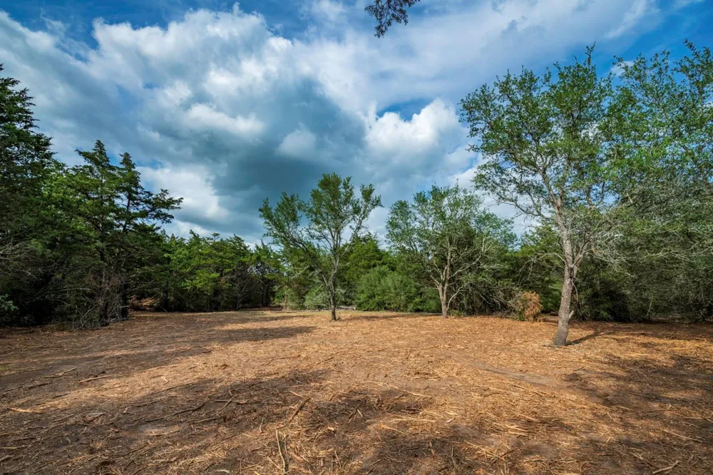 468 Vineyard View Trail Carmine, TX 78932