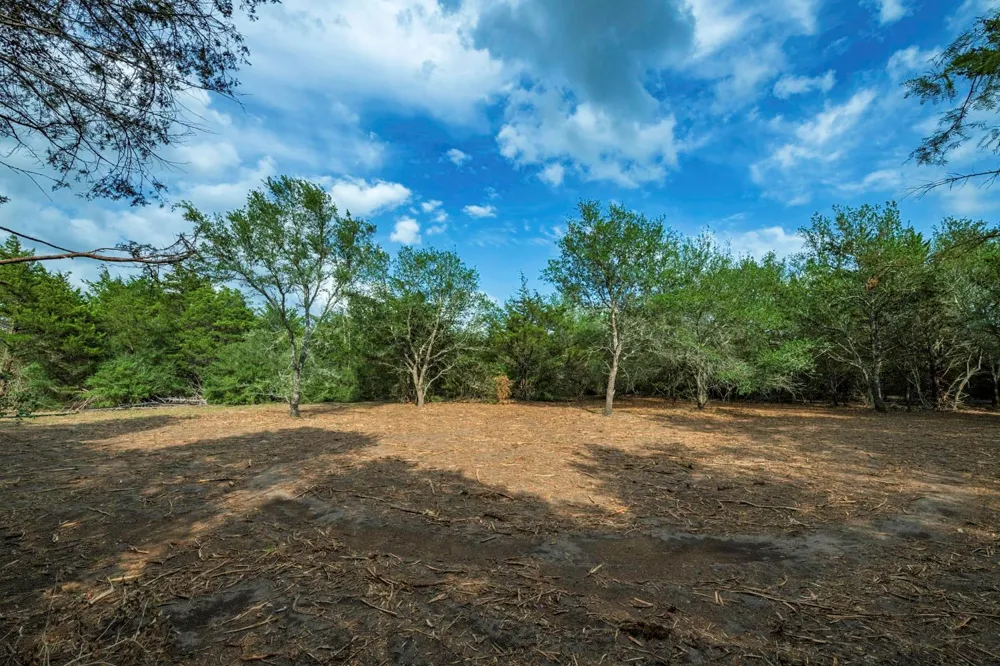 468 Vineyard View Trail Carmine, TX 78932