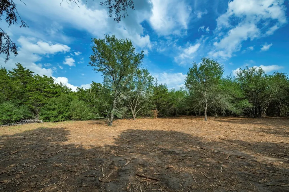 468 Vineyard View Trail Carmine, TX 78932