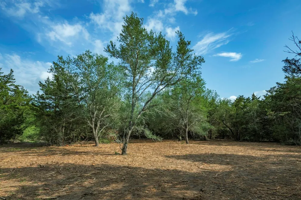 468 Vineyard View Trail Carmine, TX 78932