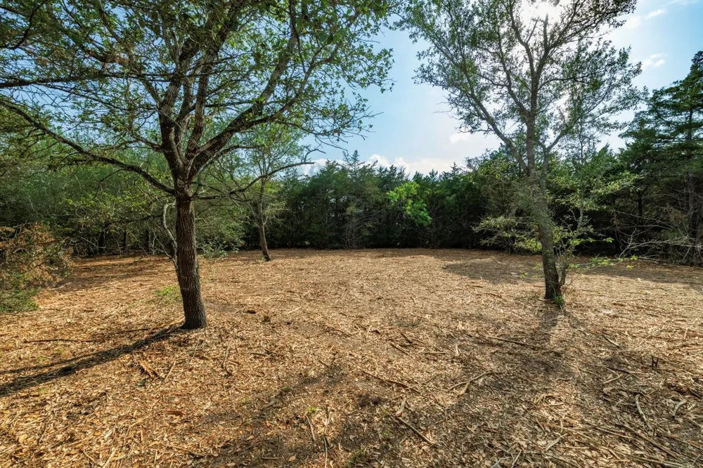 468 Vineyard View Trail Carmine, TX 78932
