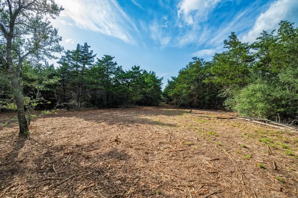 468 Vineyard View Trail Carmine, TX 78932