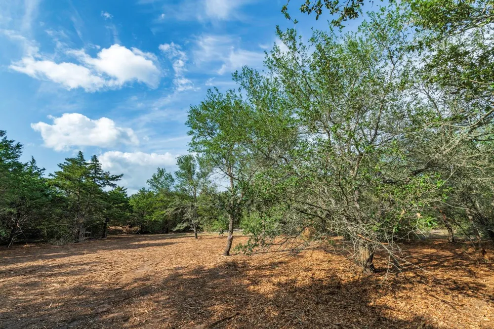 468 Vineyard View Trail Carmine, TX 78932