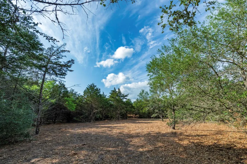 468 Vineyard View Trail Carmine, TX 78932