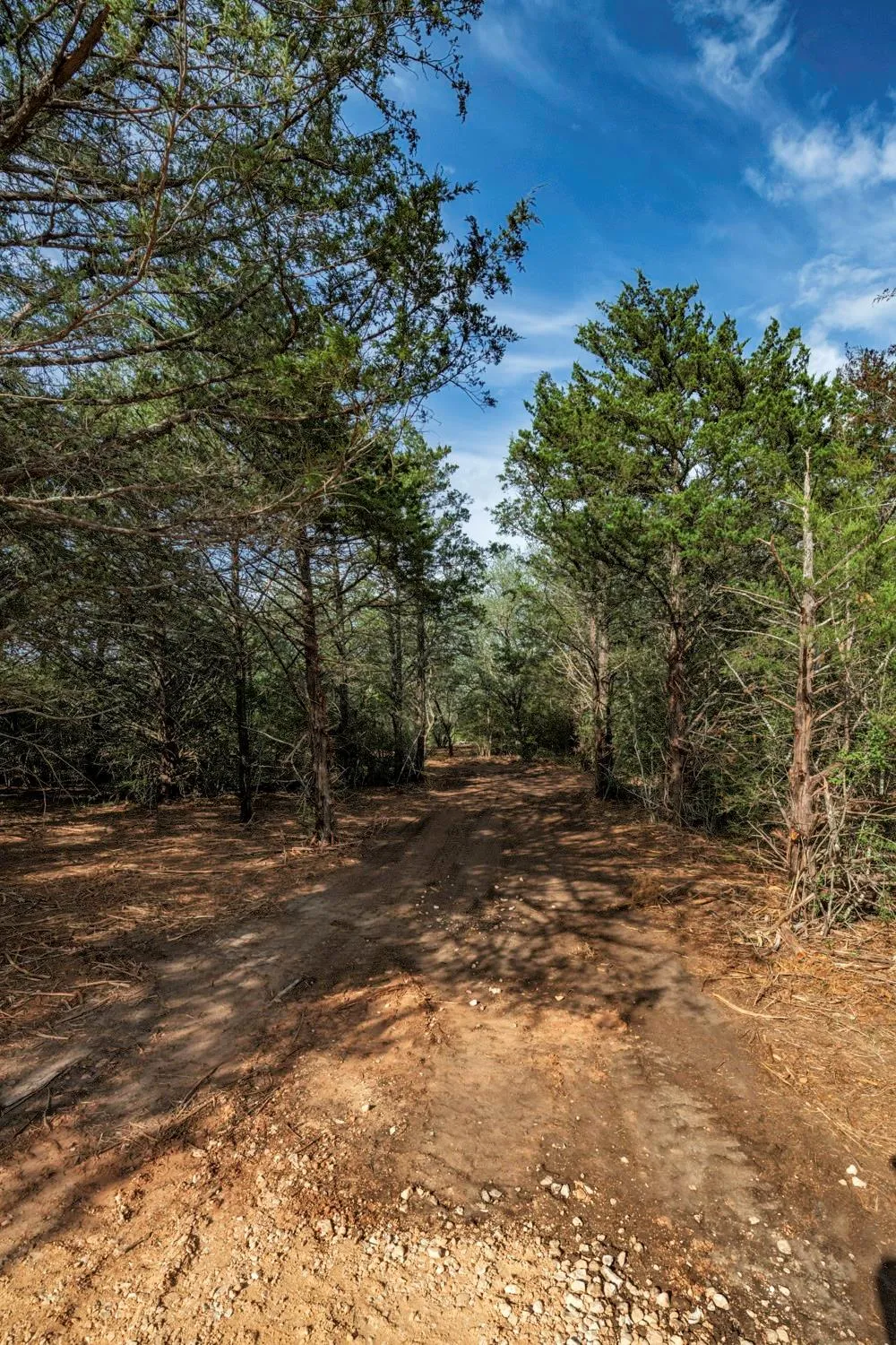 468 Vineyard View Trail Carmine, TX 78932
