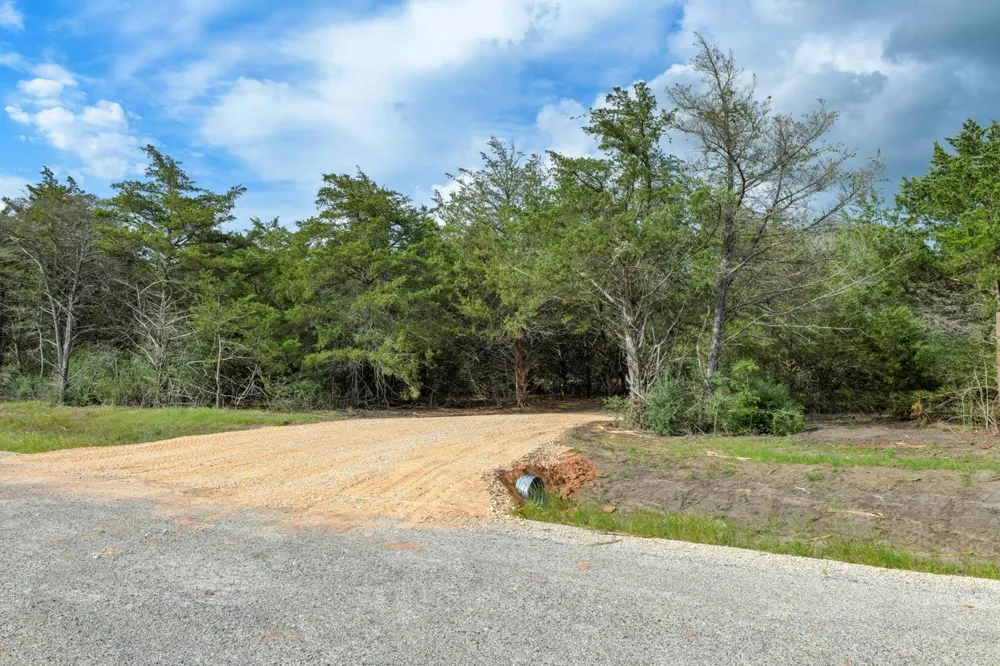 468 Vineyard View Trail Carmine, TX 78932