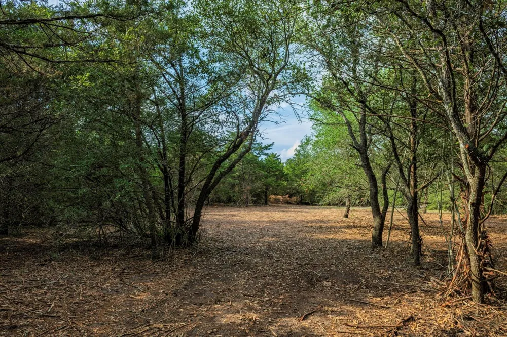 468 Vineyard View Trail Carmine, TX 78932