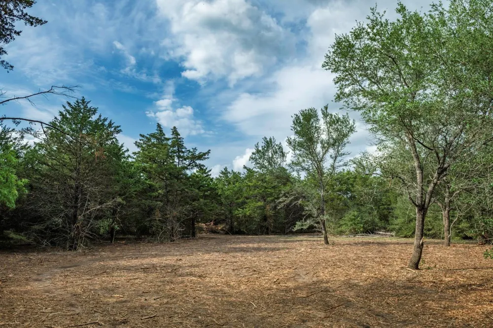 468 Vineyard View Trail Carmine, TX 78932