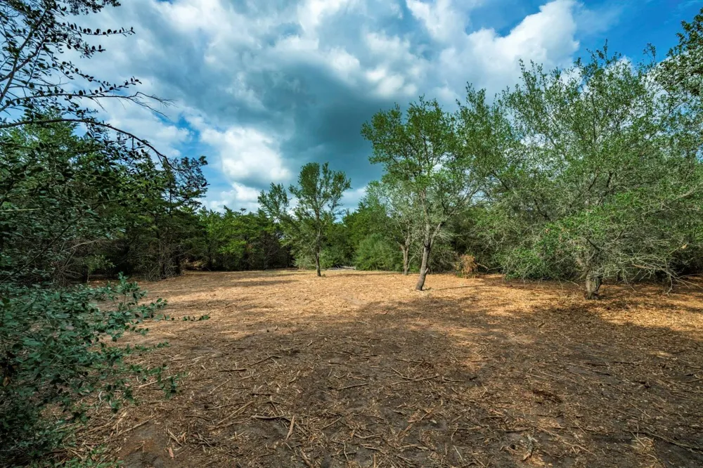 468 Vineyard View Trail Carmine, TX 78932