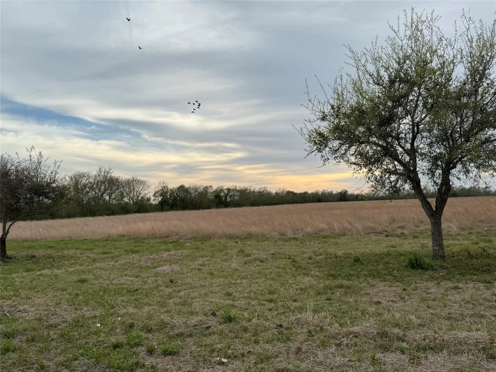 1 County Road 46 Danbury, TX 77534