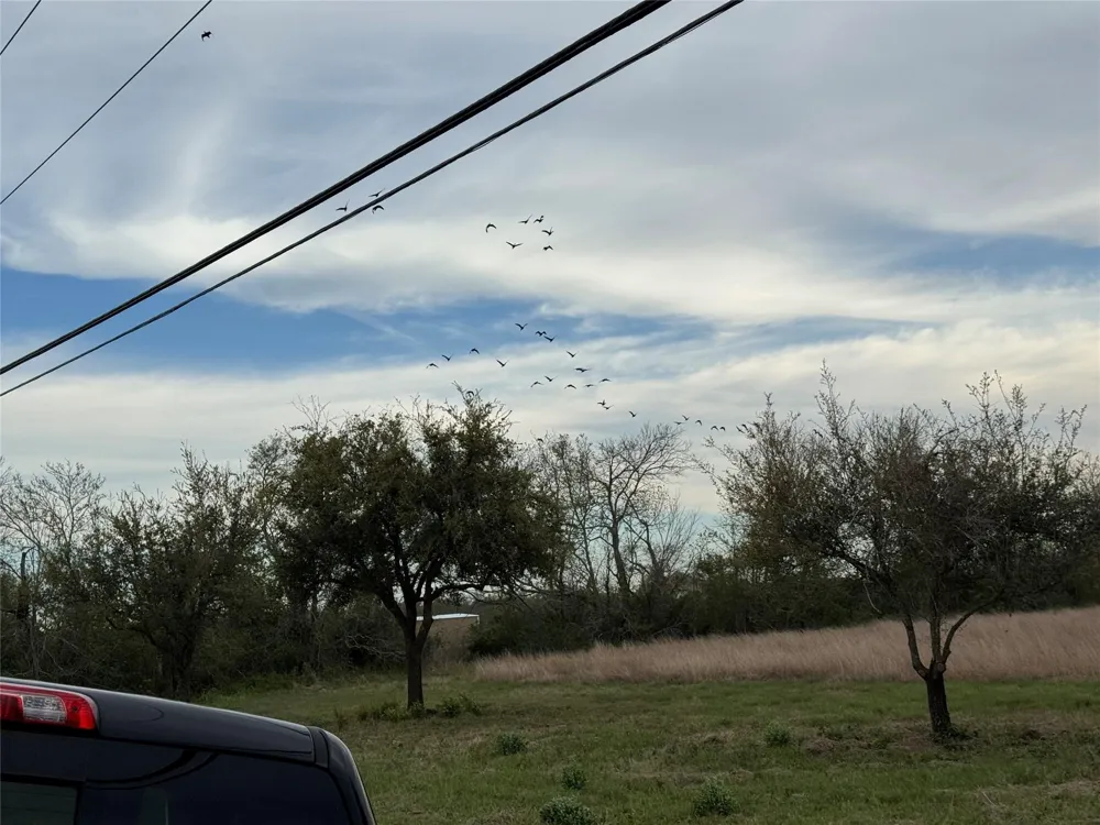 1 County Road 46 Danbury, TX 77534