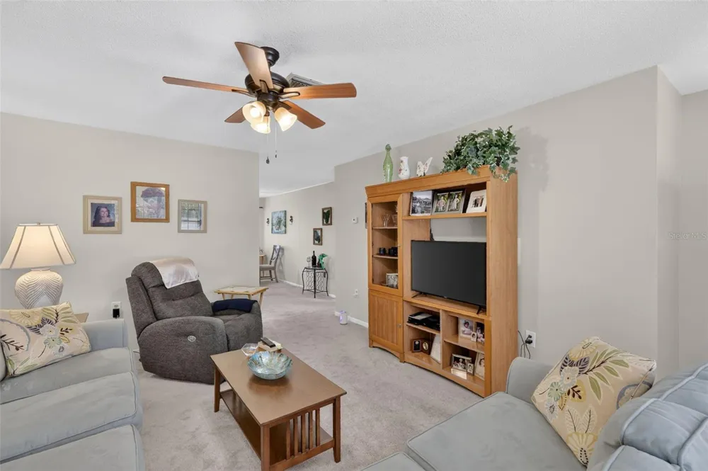 445 S GRANDVIEW STREET #8 Mount Dora, FL 32757