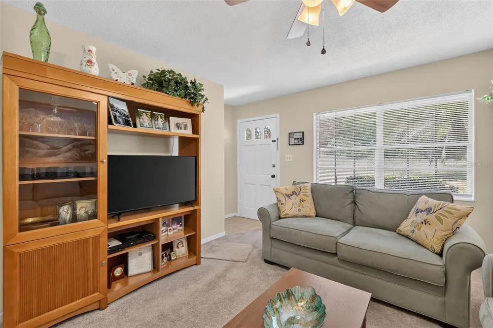 445 S GRANDVIEW STREET #8 Mount Dora, FL 32757