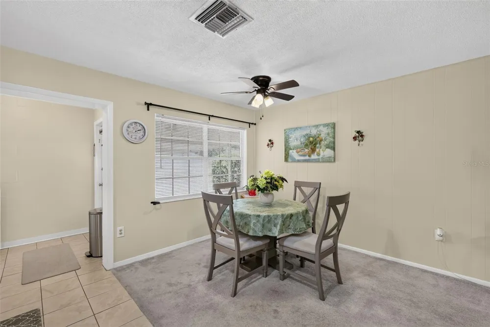 445 S GRANDVIEW STREET #8 Mount Dora, FL 32757