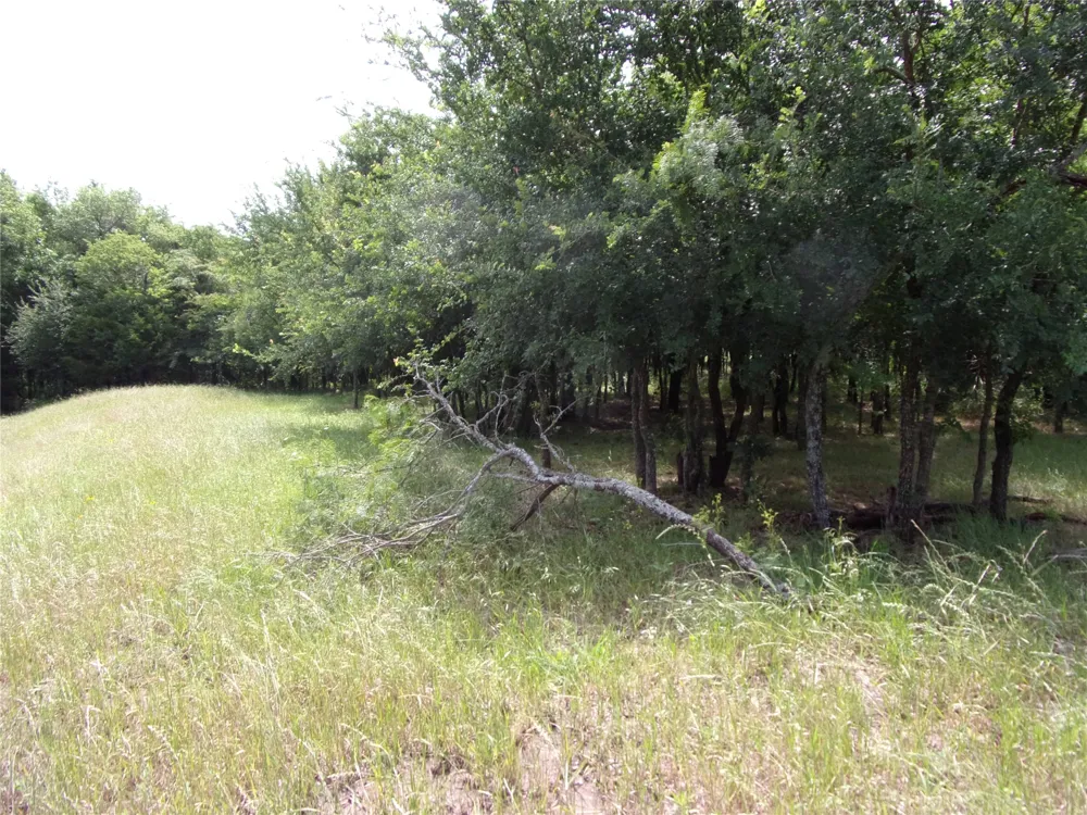 4188 Willow Oak Bend Royse City, TX 75189