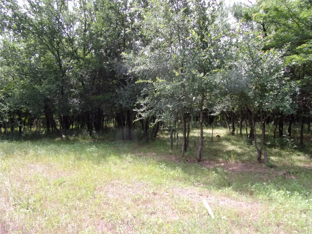 4188 Willow Oak Bend Royse City, TX 75189