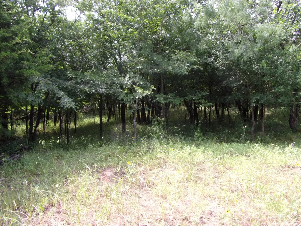 4188 Willow Oak Bend Royse City, TX 75189