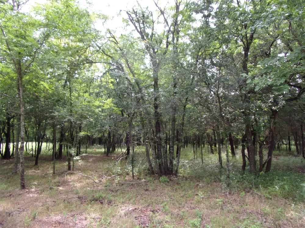 4188 Willow Oak Bend Royse City, TX 75189
