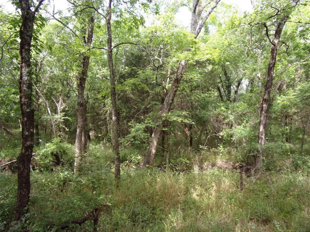 4188 Willow Oak Bend Royse City, TX 75189
