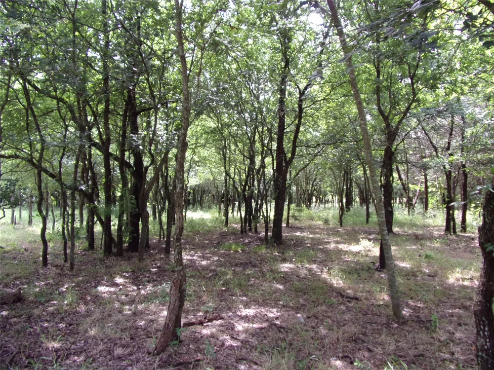 4188 Willow Oak Bend Royse City, TX 75189