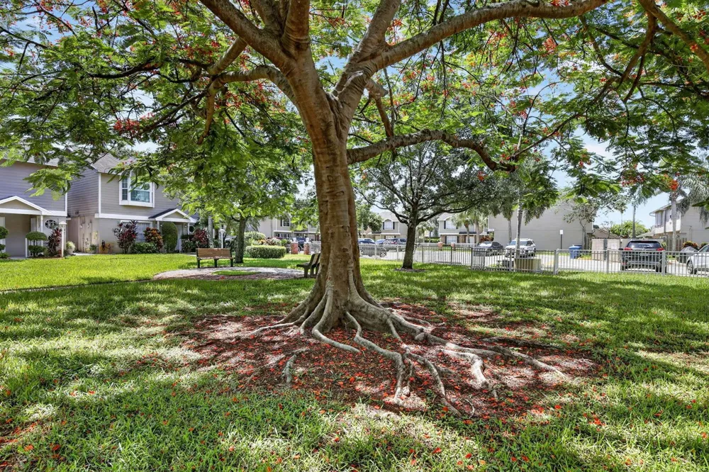 12175 NW 36th Place Sunrise, FL 33323