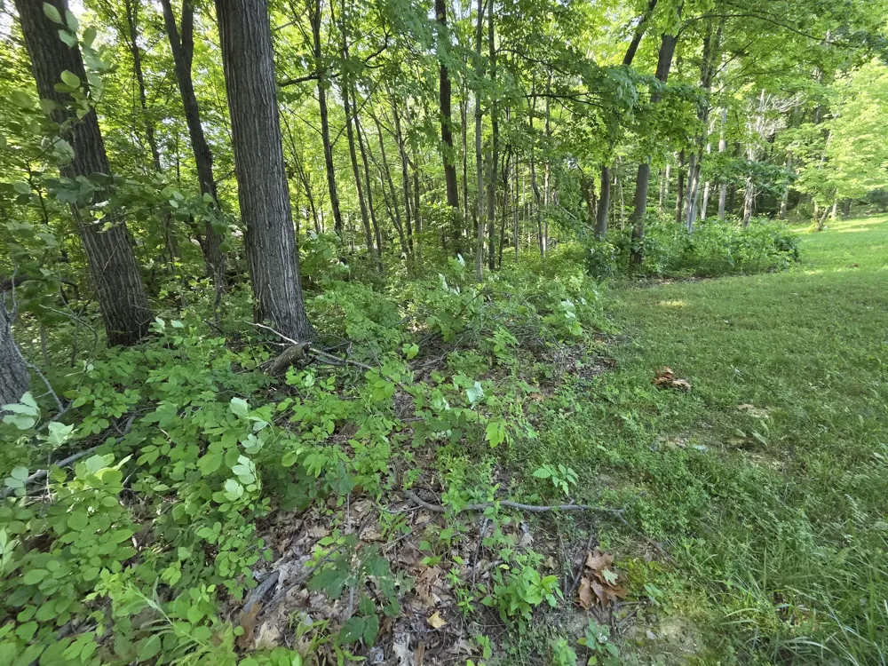 17641 Summerhill Lane #61 New Buffalo, MI 49117