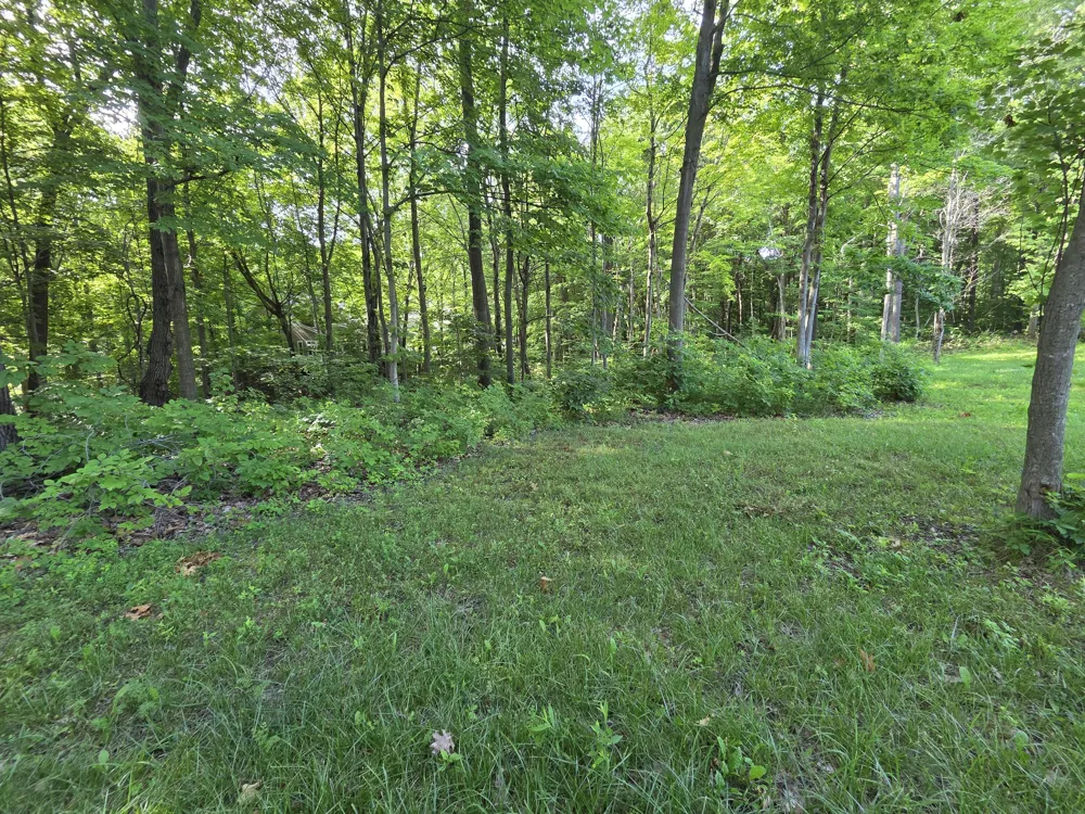 17641 Summerhill Lane #61 New Buffalo, MI 49117