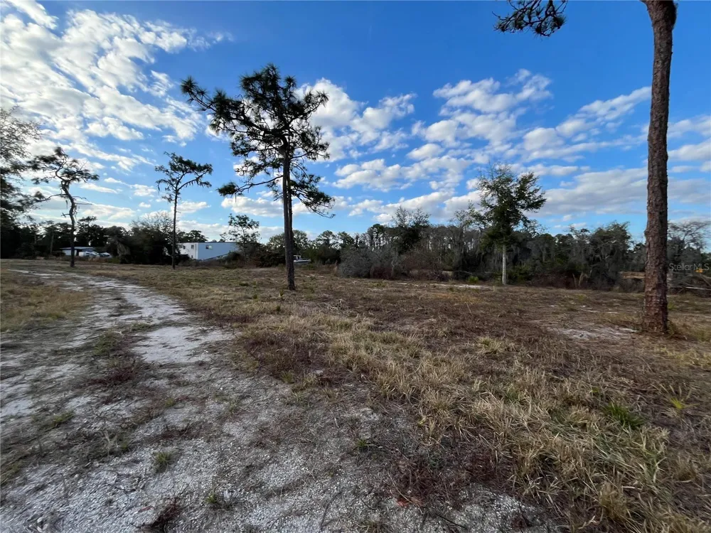 2670 MCMICHAEL ROAD St Cloud, FL 34771