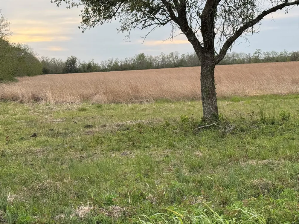 3 County Road 46 Danbury, TX 77534