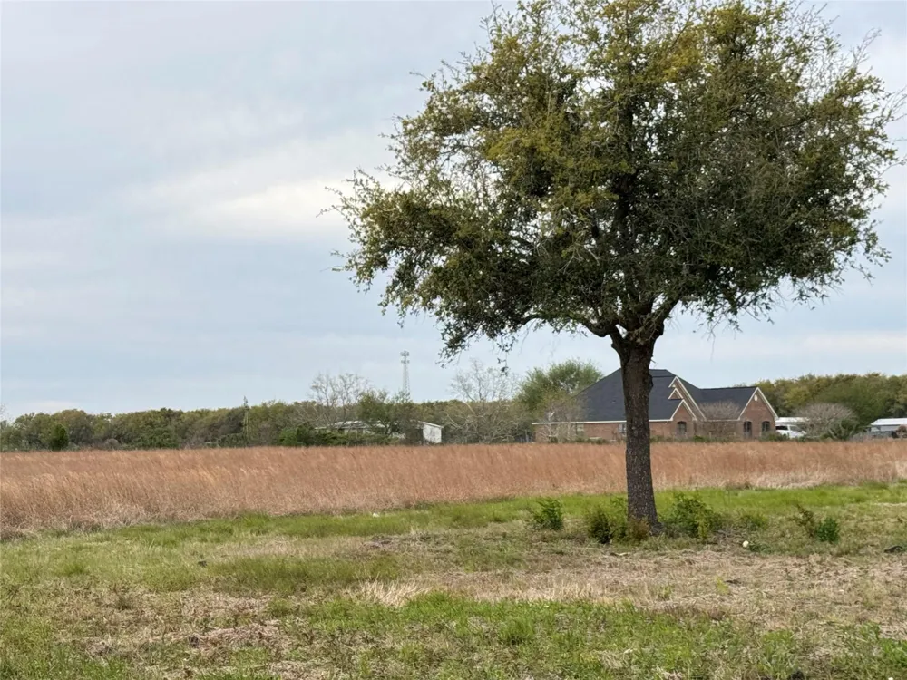 3 County Road 46 Danbury, TX 77534