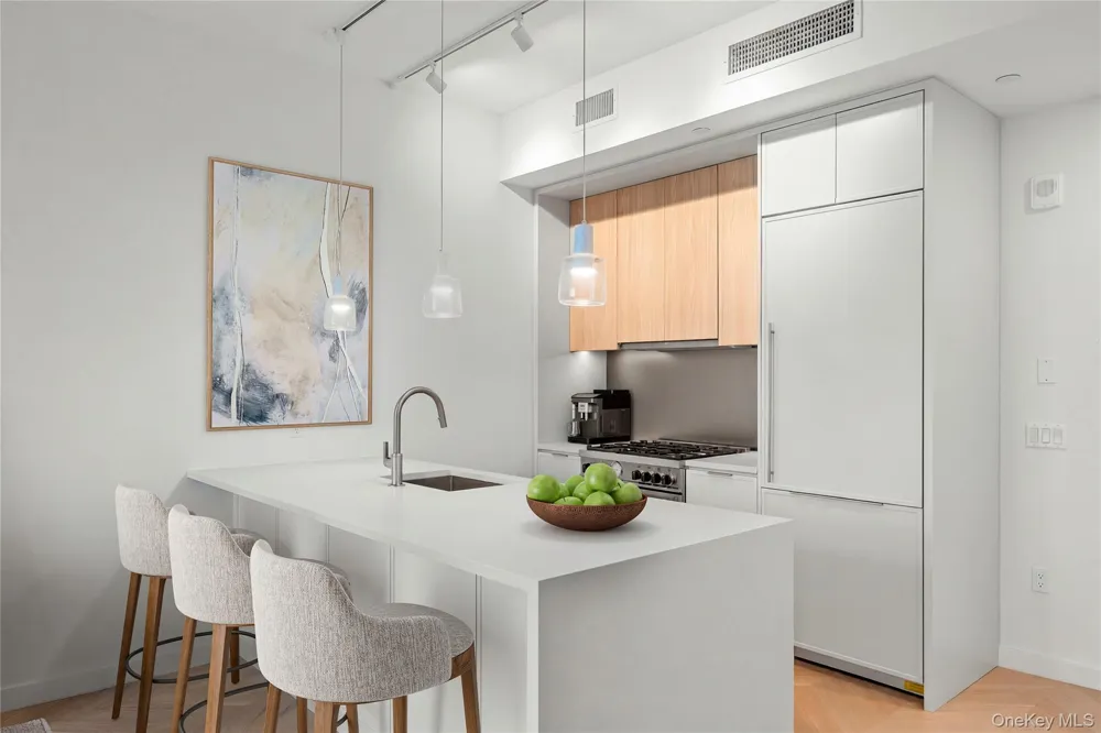 41st Avenue 29-18 #14B Long Island City, NY 11101