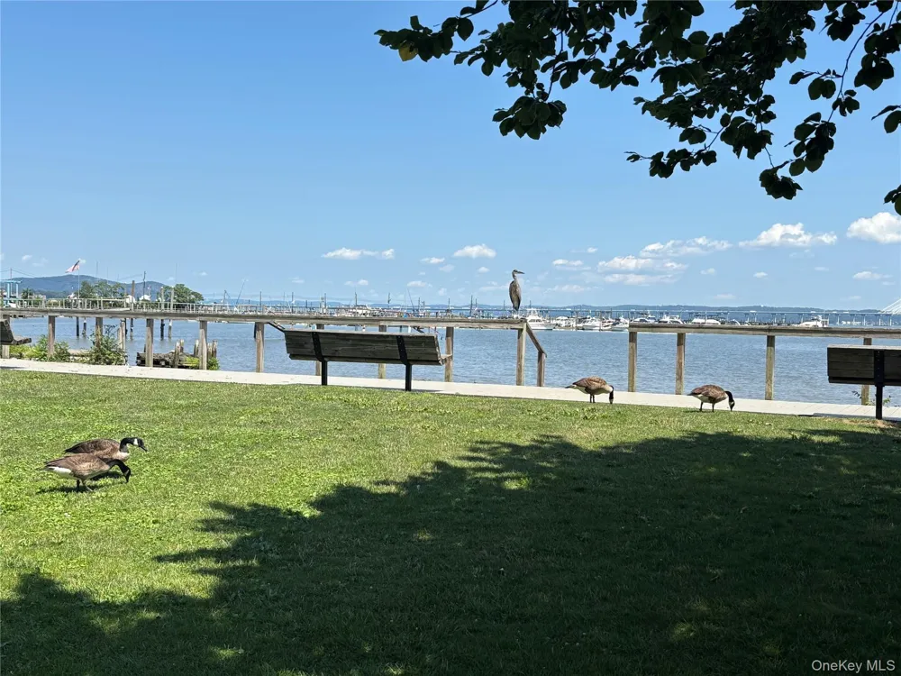 3 W Lawrence Park Drive #3 Piermont, NY 10968