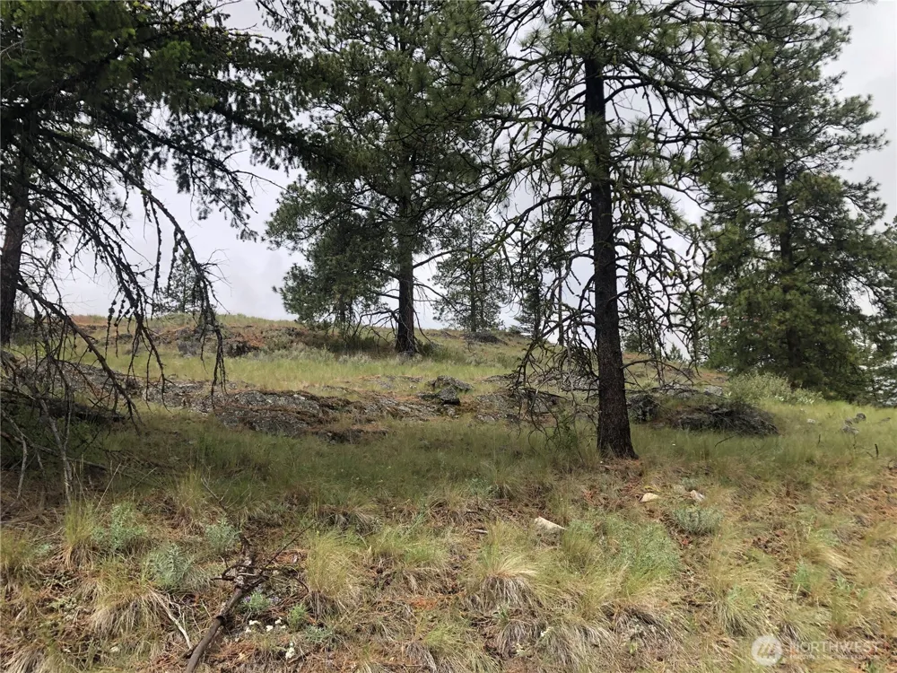 227 Point Drive Oroville, WA 98844
