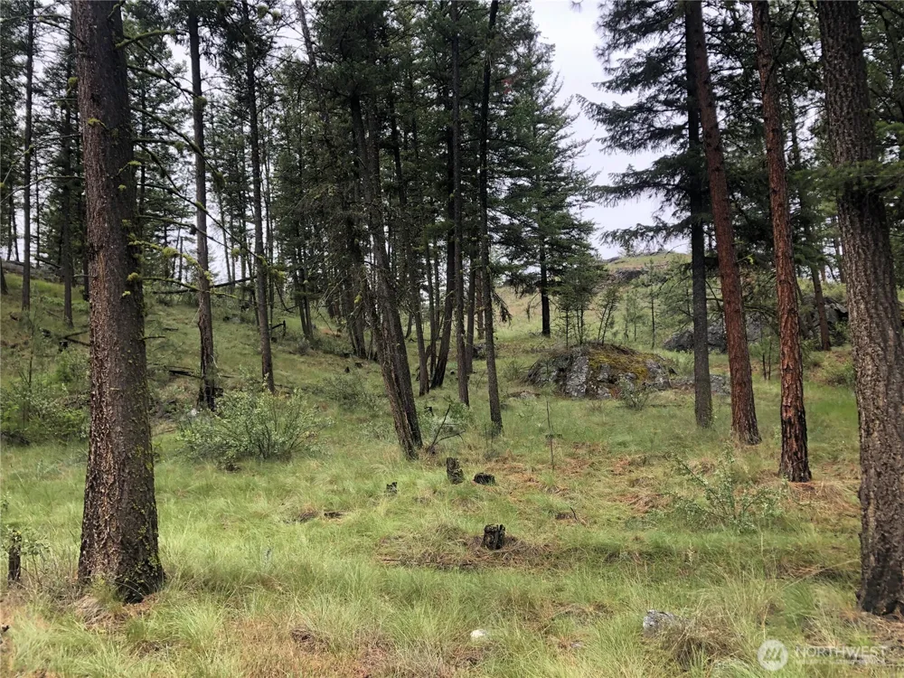 227 Point Drive Oroville, WA 98844